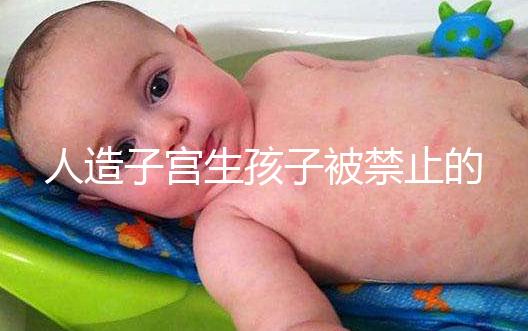 人造子宮生孩子被禁止的原因有三,會(huì)不會(huì)被允許未成定論