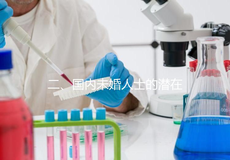 二、國內未婚人士的潛在選擇與風險