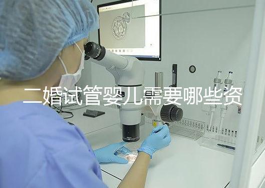 二婚試管嬰兒需要哪些資料快速查看，需要看清楚準生證嗎？