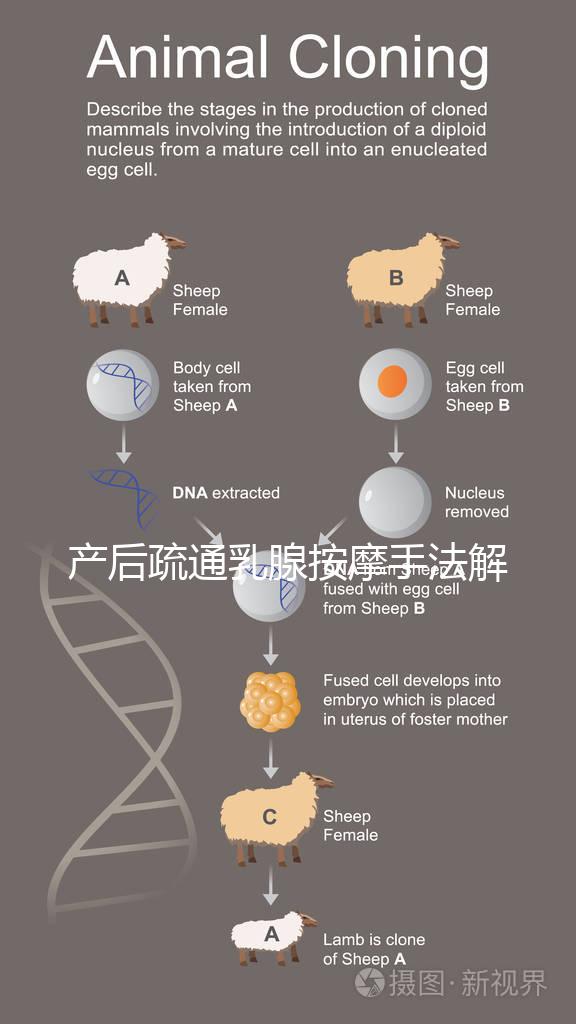 產后疏通乳腺按摩手法解密，不用吸奶器輕松搞定堵奶、奶結