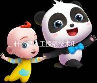 什么是人工授精技術(shù)(IUI)?適用人群到成功率,3分鐘弄懂