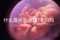 什么是弓形蟲(chóng)病?準(zhǔn)媽媽必須要提防的一種傳染疾病