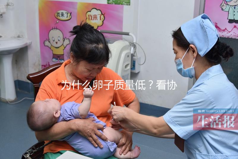 為什么卵子質量低?看協(xié)和試管中心何方方主任怎么說