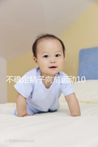 不確定精子向前運動10%還能不能試管生育，60s完全了解