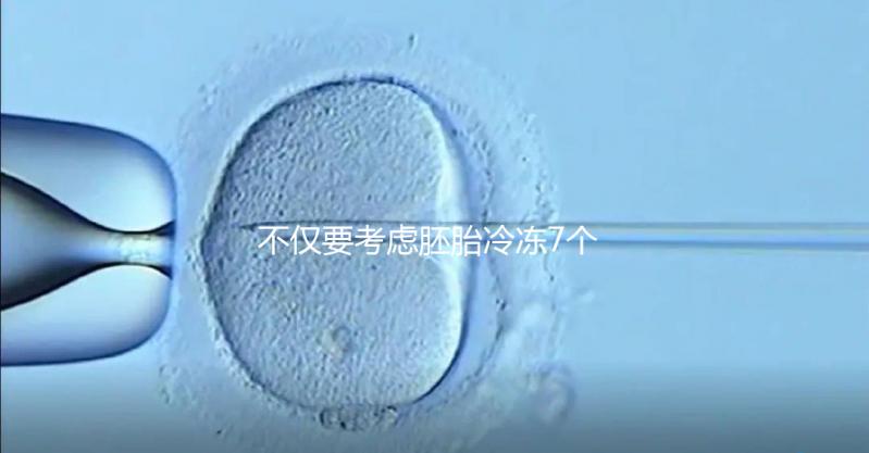 不僅要考慮胚胎冷凍7個(gè)月是否可以移植，還要了解受孕率的影響