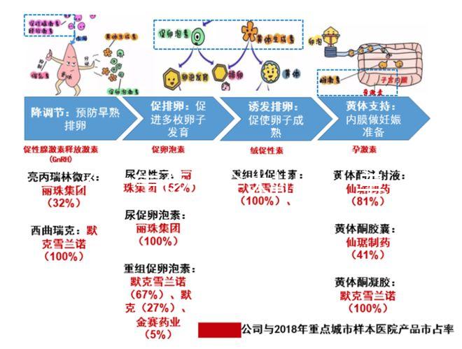 不止生孩子會大出血！單角子宮還要留意這4大健康威脅