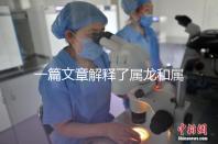 一篇文章解釋了屬龍和屬兔的人能否在一起，他們將如何全部包括在內