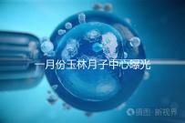 一月份玉林月子中心曝光多少錢？不要錯過2024年福綿三家公司的口碑