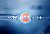 一月份大理月子中心多少錢早知道,2024年排名前十的機構