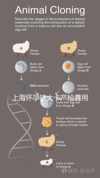 上海懷孕建大卡產(chǎn)檢費用分享,不同地區(qū)收費標(biāo)準(zhǔn)差別大!