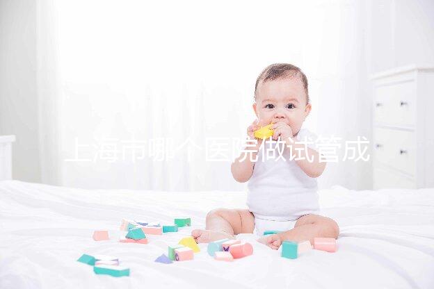 上海市哪個醫院做試管成功率高最好的?