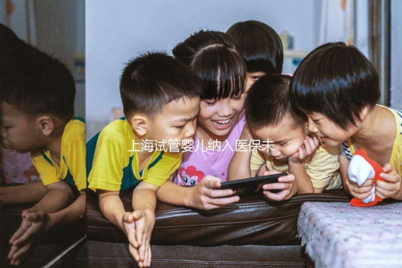 上海試管嬰兒納入醫(yī)保未批準(zhǔn)?專家:想報(bào)銷助孕費(fèi)用再等等