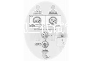 中國正規(guī)三代試管嬰兒機構(gòu)名單,2025生殖機構(gòu)排名參考