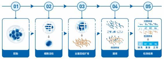東莞有幾家試管嬰兒醫院？不同生殖中心費用和成功率詳解