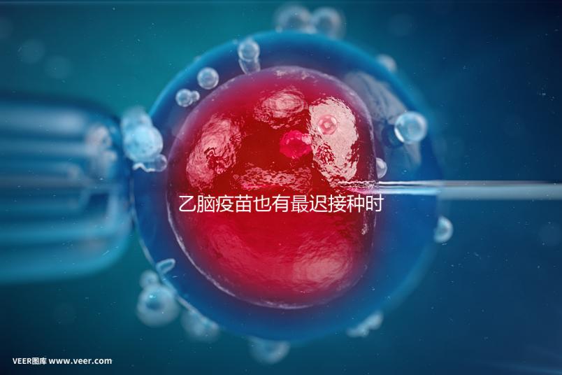 乙腦疫苗也有最遲接種時(shí)間,超過這個(gè)年齡段打效果差很多