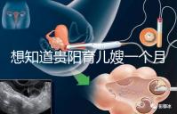 想知道貴陽育兒嫂一個月戳多少錢，云巖2萬夠不夠