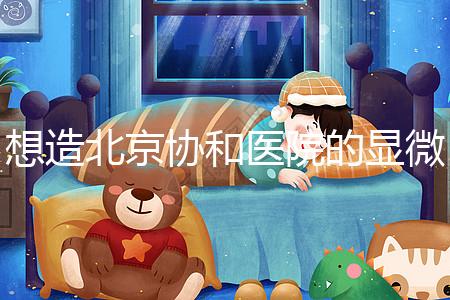 想造北京協和醫院的顯微鏡取精多少錢？2萬不看情況