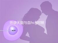 懷孕天數(shù)與血hcg對(duì)照表參考，孕早期排除病理性生化妊娠