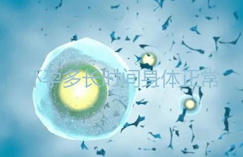 懷孕多長時間身體正常