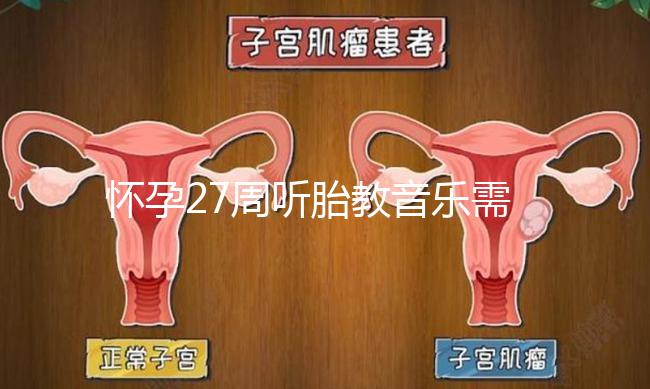 懷孕27周聽(tīng)胎教音樂(lè)需要多長(zhǎng)時(shí)間？過(guò)長(zhǎng)會(huì)損害聽(tīng)力