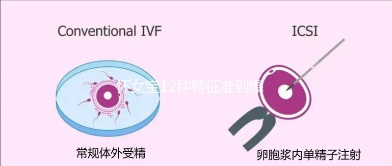 懷女寶12種特征準到爆，尿液顏色、孕反...看你對上幾條