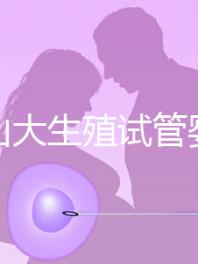 提升山大生殖試管嬰兒成功率,“老司機(jī)”送你這4招!