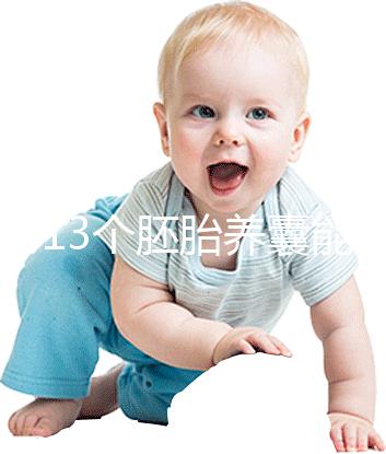 揭秘13個胚胎養(yǎng)囊能養(yǎng)成幾個，別以為6個著床幾率就高