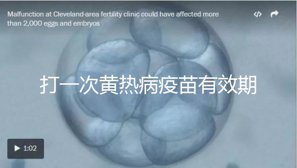 打一次黃熱病疫苗有效期限10年，提前注射時間是關鍵