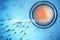 曼熙和十月結晶一次性內(nèi)衣哪個好看就知道了,女生都來看