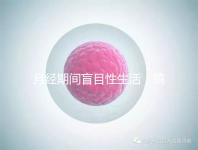 月經(jīng)期間盲目性生活，搞不好真的會出人命！