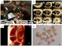 新生兒護理五大內容6個要點整理，嬰兒養育照護干貨來了