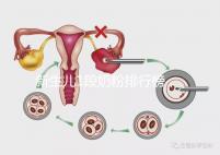 新生兒1段奶粉排行榜，口碑好、價(jià)格實(shí)惠的品牌紛紛上榜