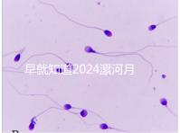 早就知道2024漯河月子中心的價格表了！媽咪悅只需要這個數字