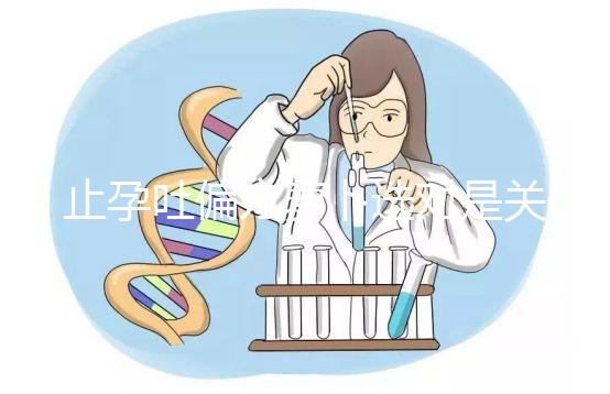 止孕吐偏方蘿卜選對是關鍵，懷孕初期生吃or煲湯功效不同