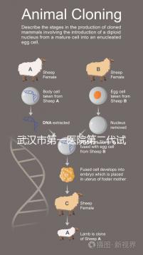 武漢市第一醫(yī)院第二代試管怎么樣？2024年助孕成功率數(shù)據(jù)公布