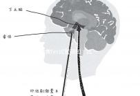 夢(mèng)美hrc試管須知：試管嬰兒提升成功率有這幾個(gè)方法