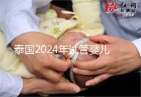 泰國2024年試管嬰兒攻略索引：證書，結婚證是硬條件