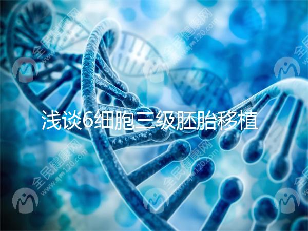 淺談6細胞三級胚胎移植成功率高低，是養還是移看完便知