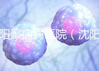 沈陽癲癇病醫(yī)院(沈陽癲癇病醫(yī)院哪家最好)