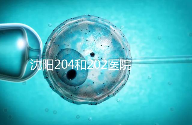 沈陽204和202醫(yī)院哪個(gè)好?東港市做過試管嬰兒的姐妹這樣說