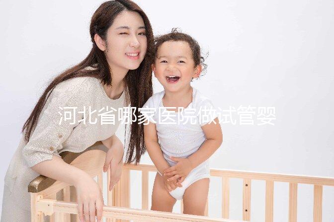 河北省哪家醫院做試管嬰兒好？這5家醫院成功上榜！