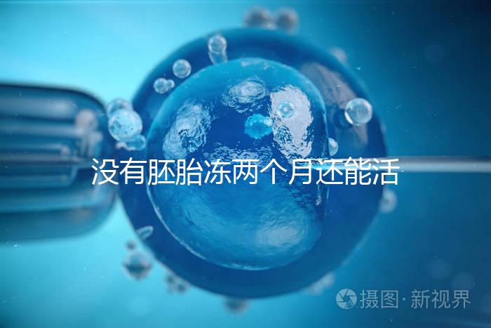 沒有胚胎凍兩個(gè)月還能活著嗎?60s會(huì)告訴你怎么樣?