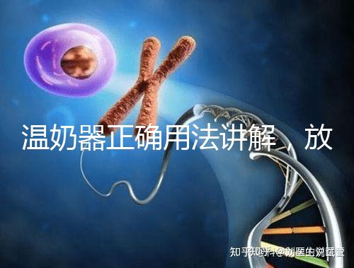 溫奶器正確用法講解，放的時間太久小心變成“毒奶”