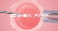 湖南做試管嬰兒的全部費用大概是多少錢？附湖南試管嬰兒醫院排名一覽！