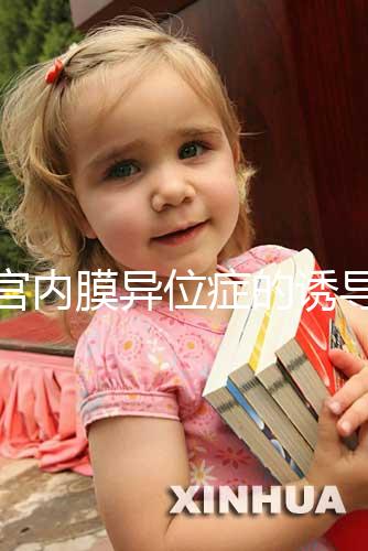 子宮內(nèi)膜異位癥的誘導(dǎo)排卵方案，其實(shí)沒(méi)有標(biāo)準(zhǔn)答案