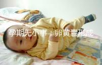 孕期無小事：卵黃囊形成到胎芽出現時間早了解早放心