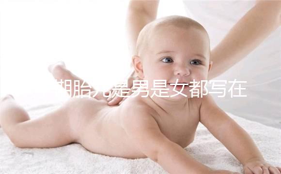孕期胎兒是男是女都寫在B超單上，或真能一眼看出來