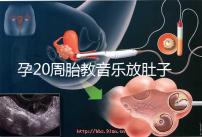 孕20周胎教音樂放肚子上怎么辦要早知，細(xì)數(shù)常見危害