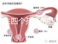寧夏生四個孩子的四個女孩補貼多少2024年,給2萬元或非謠言