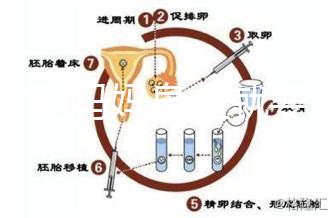 寶寶到媽媽身上就要吃解決方法來了，奶瓶作用大別忽略